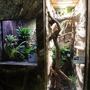 Tropenhaus - Entrance room - Terrariums