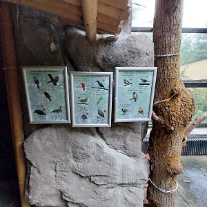 Tropenhaus - Species sign free roamers