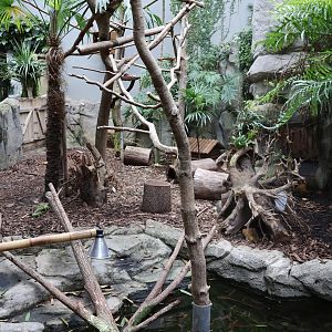 Tropenhaus - Cuban Slider exhibit