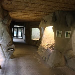 Tropenhaus - Reptiles