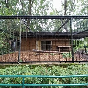 Siberian Tiger enclosure