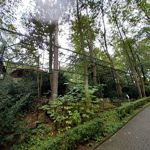 Harris' Hawk aviarys