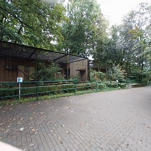 Persian Leopard connected enclosures