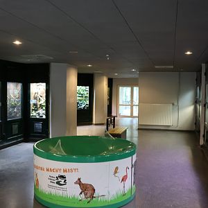 Vivarium - First room