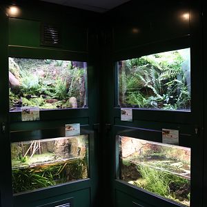 Vivarium