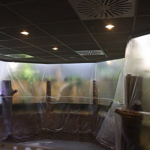 Vivarium - renovation