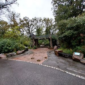 Souslik & Pheasant aviary