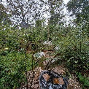 Souslik and Pheasant aviary