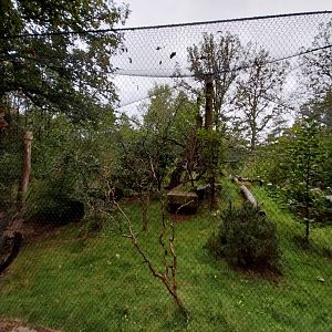 Souslik and Pheasant aviary