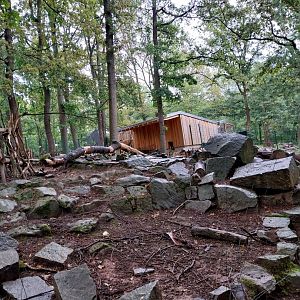 Gelada baboon and West Caucasian Tur enclosure