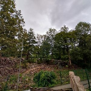 Gelada baboon and West Caucasian Tur enclosure