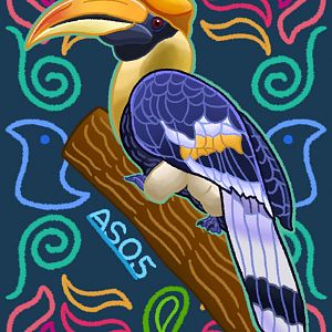 Great Hornbill