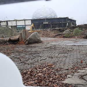 RainForest Demolition 12/20