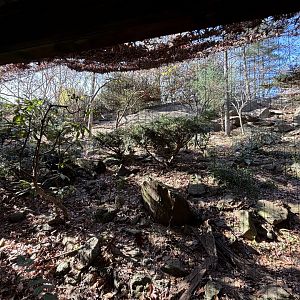 Himalayan Highlands- Snow Leopard Exhibit
