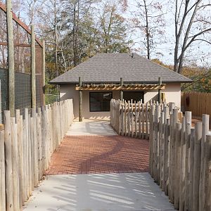 New Cape Porcupine/Aldrabra Tortoise Exhibit