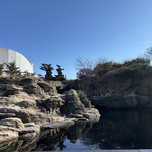 Sea Cliffs- African Penguin Exhibit