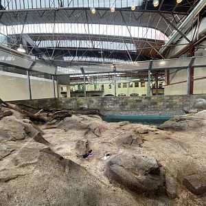 Changing Rivers- River Otter Exhibit