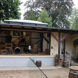 Banded mongoose exhibit