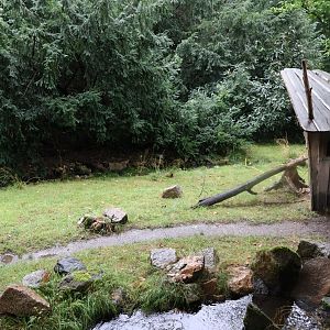 Nepalese red panda enclosure
