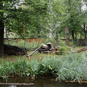 Rhesus Macaque enclosure