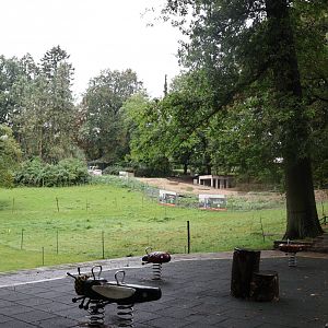 Red Dhole construction site