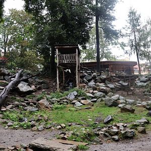 Alpine ibex enclosure
