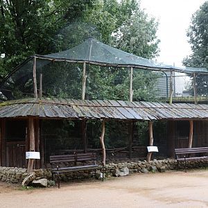 Tibetan Village - Edwards Pheasant and Chinese Bamboo-partridge aviary