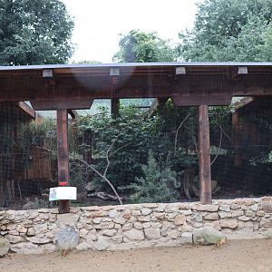 Tibetan Village - Spotted Laughingthrush aviary