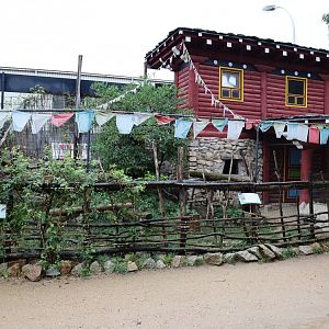 Tibetan Village - Corsac Fox (left) enclosure