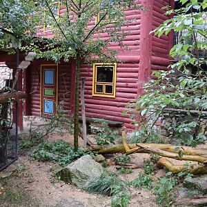 Tibetan Village - Corsac Fox (right) enclosure