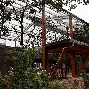 Tibetan Village - Parrot aviary construction site