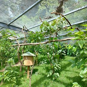 Walkthrough aviary - Belo Horizonte zoo
