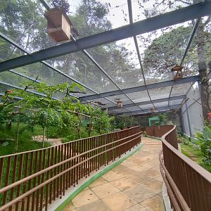 Walkthrough aviary - Belo Horizonte zoo