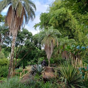 Imbi and the landscape - Belo Horizonte zoo