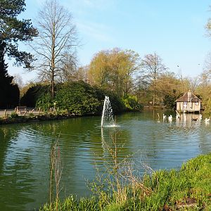 Dalmatian pelican pond, 2023-04-18