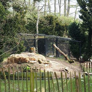 Dalmatian pelican nesting area and holding aviary, 2023-04-18