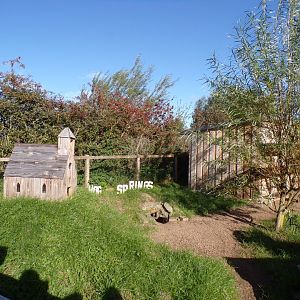 Western American themed guniea pig enclosure 14.10.23