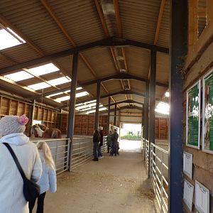 View inside the farm animal barn 14.10.23