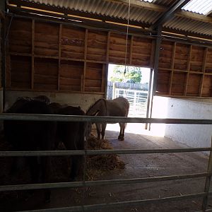 Example of indoor stall inside the farm barn 14.10.23
