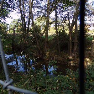 Pond outside the barrier of the zoo 14.10.23