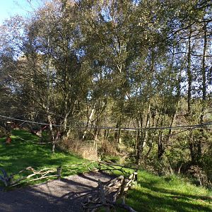 Ring-tailed and Red-fromted lemur enclosure 14.10.23