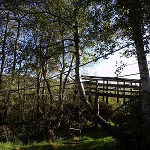 View of ring-tailed and red-fronted lemur enclosure 14.10.23