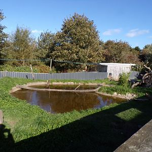 Asian short-clawed otter enclosure 14.10.23