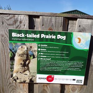 Signage example 14.10.23