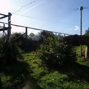 Snow leopard enclosure 14.10.23