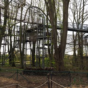 Tree-top walk and tree-top adventure trails structures, 2023-04-18