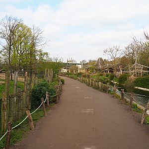Walkway to main restaurant and orangutan greenhouse next to Bactrian camel and Wisent paddocks, 2023-04-18