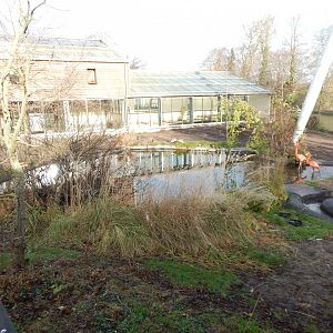 Latin American aviary 261124