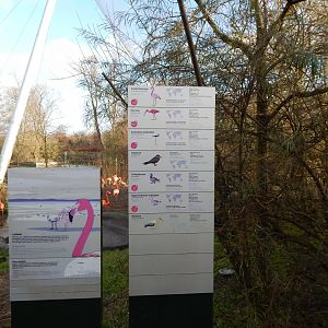 Latin American aviary signage 261124