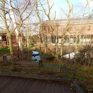 Latin American aviary 261124